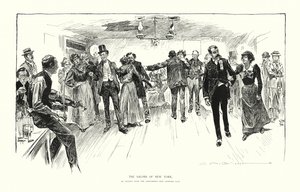 The Salons of New York by Charles Dana Gibson