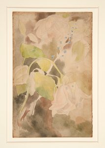 Peachy Rose by Charles Demuth
