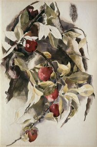 Plums