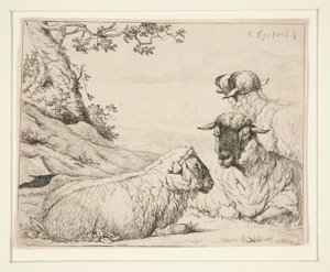 Three Sheep