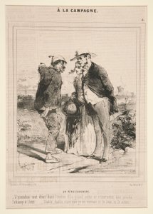 Information (from the series A la Campagne)