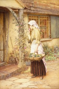 The Sweetest Rose