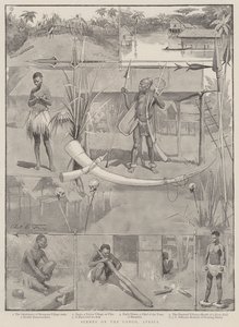 Scenes on the Congo, Africa by Charles Edwin Fripp