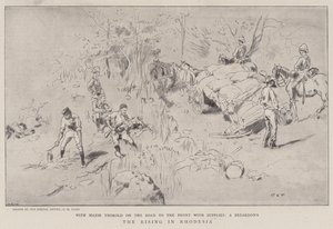 The Rising in Rhodesia by Charles Edwin Fripp