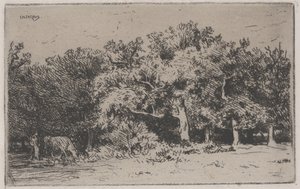 A Corner of the Forest of Fontainebleau by Charles Emile Jacque