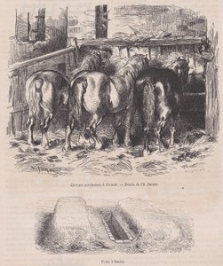 Percheron Horses in the Stable, Manure Pit, from Magasin Pittoresque by Charles Emile Jacque