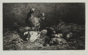 Chickens by Charles Emile Jacque