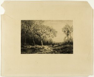 Edge of a Wood
