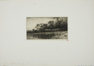Evening Landscape