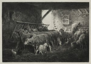Interior of a Sheep Pen