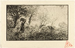 Landscape and Animals