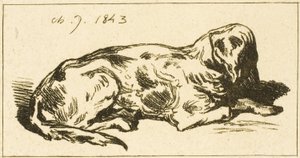 Lying Dog