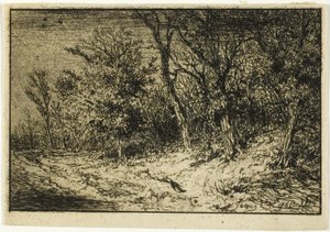 Road at the Edge of a Wood