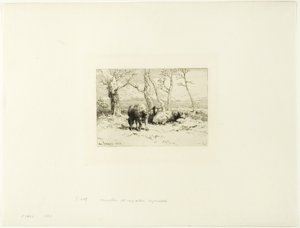 Sheep and Five Trees