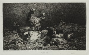 The Chickens by Charles Emile Jacque
