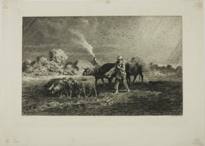 The Storm