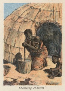 South Africa: "Stamping Mealies"