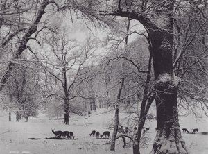 Knole Park by Charles Essenhigh Corke