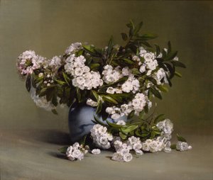 Mountain Laurel by Charles Ethan Porter