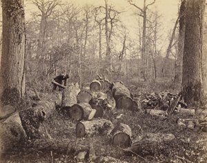 Forest of Fontainebleau by Charles Famin