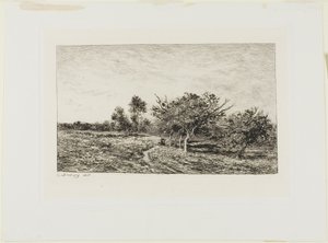Apple Trees at Auvers by Charles Francois Daubigny