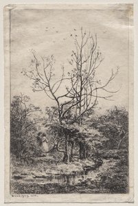 The Orchard