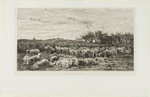 Meadow with Sheep by Charles Francois Daubigny