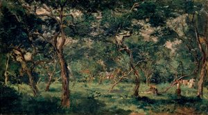 Olive Orchard