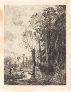 Satyr