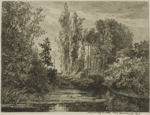 Stags at the Water