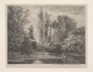Stags at the Water