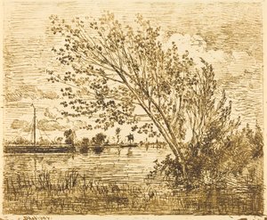 Stand of Alders by Charles Francois Daubigny