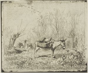The Donkey in the Meadow