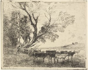 The Ford