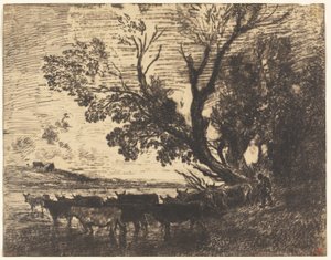 The Ford