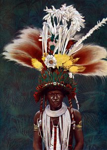 A Roro Chief Dressed for a Ceremonial Dance, Papua New Guinea by Charles Gabriel Seligman