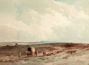 On Ashdown Forest Reserve by Charles Harrington