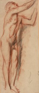 Male Nude