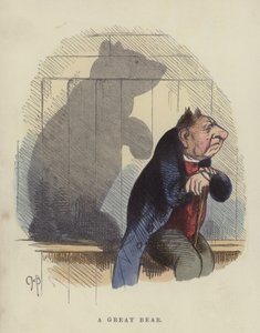 A Great Bear