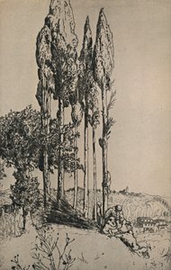 Cypress Trees Near Siena, 1903 by Charles Holroyd