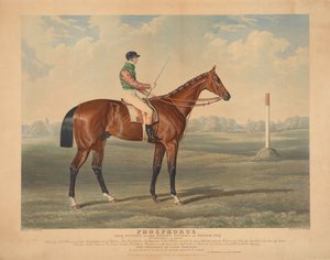 Racing: "Phosphorus", Ridden by George Edwards, Winner of the Derby Stakes at Epsom, 1837 by Charles Hunt
