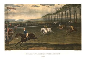 Vale of Aylesbury Steeple Chase, Plate 4