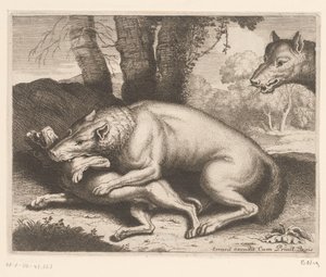 Dog Attacked by a Wolf by Charles II Errard (attributed to)