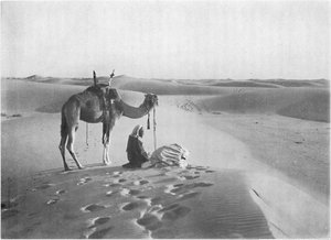 The Sunset Prayer in the Desert by Charles J. S. Makin