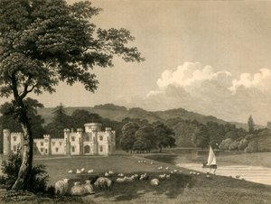 Knepp Castle