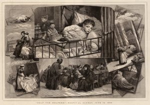 Help the Helpers!, Hospital Sunday, 13 June 1880