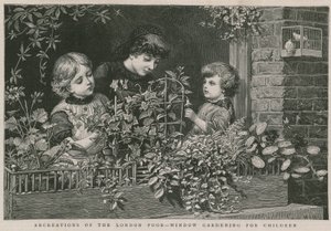 Recreations of the London poor: Window gardening for children by Charles J. Staniland