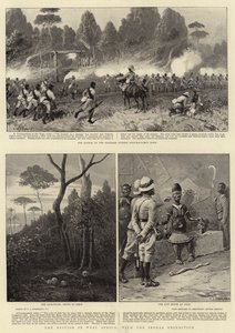 The British in West Africa, with the Ibouza Expedition