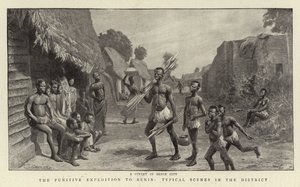 The Punitive Expedition to Benin, Typical Scenes in the District