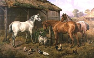 Farmyard Friends by Charles Jones